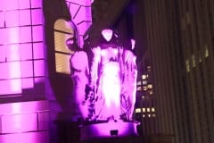 IMG_8601