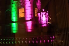 IMG_8611