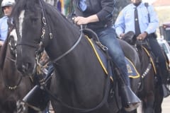 IMG_0113