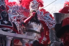IMG_0262