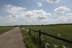 IMG_1800