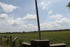 IMG_1807