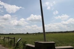 IMG_1808