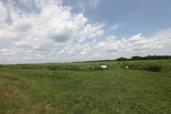 IMG_1815