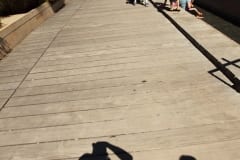 IMG_0238