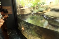 IMG_0292