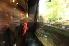 IMG_0293