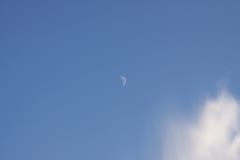 IMG_8980