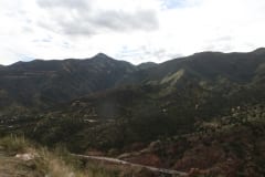 IMG_8545