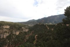 IMG_8563
