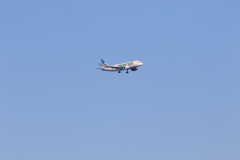 322A7689
