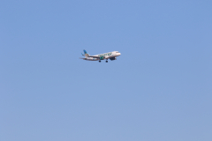 322A7690