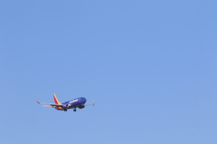322A7694