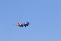 322A7696