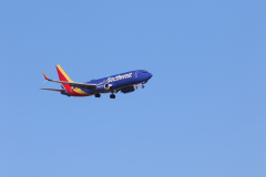 322A7699