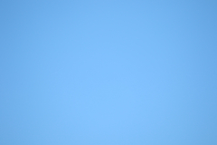 322A7715