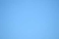 322A7716