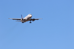 322A7779