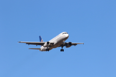 322A7784