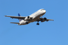 322A7787