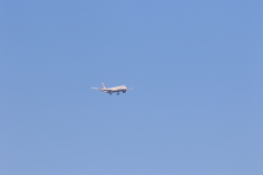 322A7831