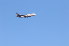 322A7893