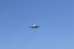 322A7949