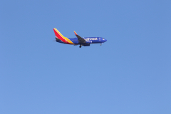 322A7991