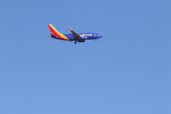 322A7992