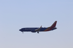 322A8142