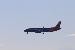 322A8147