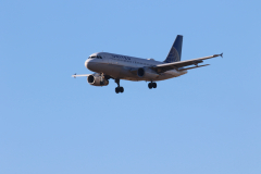322A8175