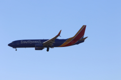 322A8248