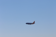 322A8249