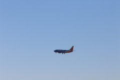 322A8250