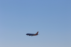 322A8251