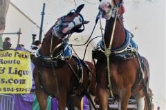IMG_0957a