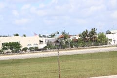 IMG_0004