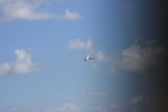 IMG_9711