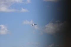 IMG_9712