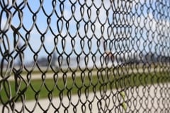 IMG_9835