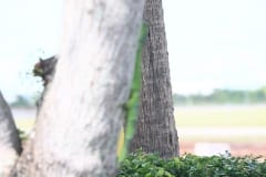 IMG_9863