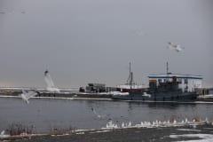 IMG_6358