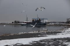 IMG_6360