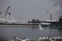 IMG_6364