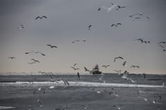 IMG_6365
