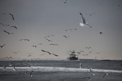 IMG_6366