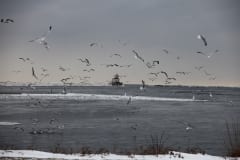 IMG_6367