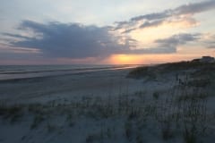 IMG_0752