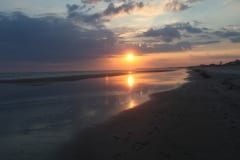 IMG_0771
